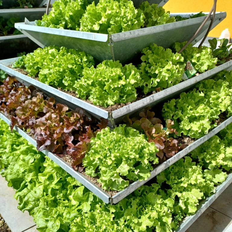 a planter with plants in it